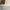 $(a)~Ca^{2+}+CO^{2-}_3\rightarrow$ $(M)H^++OH^-\rightarrow$ $(c)~C