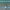 6 We&#x27;re going to a soccer match next week. I have bought two tickets. - Who ... 10 with? 