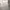 a. Look at the pictures and do the crossword puzzle. <img src=https://minio.f