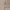 $c.~C=\frac{\sqrt{5\sqrt{5\sqrt5}}}{\sqrt[3]{5\sqrt[3]{5\sqrt[3]5}}}$