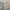 Giải hệ phương trình $\left\{\begin{array}{l}\frac{160}{x+y}+\frac{160}{x-