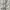 B. Ethylamine. C. Methylamine. D. Dimethylamine. Câu 50: Thêm ethylamine dư vào dung