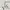 $c)~\sqrt{6,5+\sqrt{12}}+\sqrt{6,5-\sqrt{12}}+2\sqrt6$