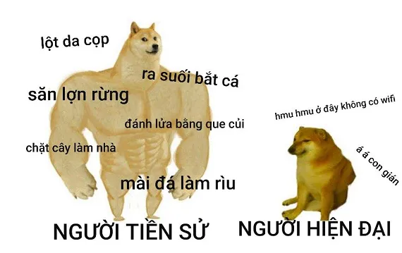 k có j để nói hết.