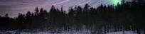 cover-image