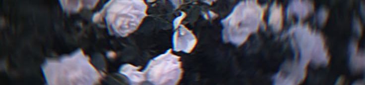 cover-image